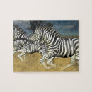 Suche nach stripe puzzle Zebra