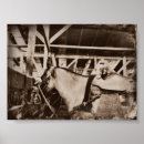 Suche nach vintages pferd poster Angel