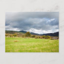 Suche nach moore postkarten Für alle