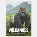 Suche nach ruanda magnete Gorilla