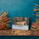 Suche nach laufen fotoplatten Schnee