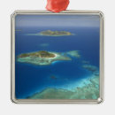 Suche nach korallenriffe ornamente Strand