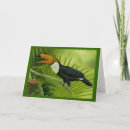 Suche nach toucan karten Niedlich