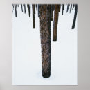 Suche nach baumstämme poster Wald