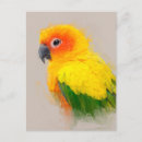 Suche nach konservieren sie postkarten Vogelvogel