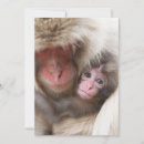 Suche nach tierfamilie karten Wildtiere