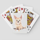 Suche nach chihuahua spielkarten Poker
