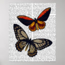 Suche nach butterfliege poster Blatt