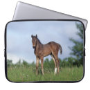 Suche nach thoroughbred laptop schutzhüllen Gras