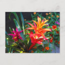 Suche nach gewächshaus postkarten Pflanze