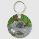 Suche nach igel schlüsselanhänger Natur