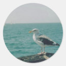Suche nach seegras aufkleber Tierwelt