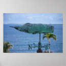 Suche nach whale poster Wale