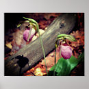 Suche nach waldland poster Mutter