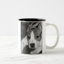 Suche nach pitbull welpe tassen Grube
