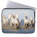 Suche nach läufer laptop schutzhüllen Ranch