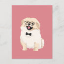 Suche nach pekingeser postkarten Jede person