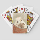 Suche nach lustige hamster spiele Niedlich