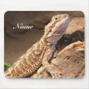 Suche nach geckos mousepads Reptil