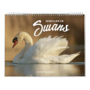 Suche nach wasservögel kalender Schwan