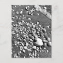 Suche nach seashells postkarten Reise