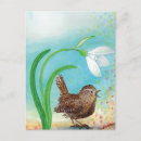 Suche nach gesangvögel karten Vogelvogel