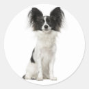 Suche nach papillon hund aufkleber Hunde