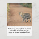 Suche nach das leben ist zu kurz postkarten Inspirierend