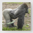 Suche nach regenwald wanduhren Gorilla