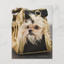 Suche nach taschen postkarten Tiere
