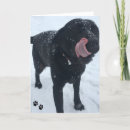 Suche nach tatze alle karten Schnee