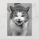 Suche nach zornig postkarten Spaß