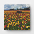 Suche nach traktor fotoplatten Bauernhof