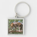 Suche nach amazonas schlüsselanhänger Tier