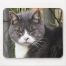 Suche nach verärgert mousepads Katze