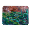 Suche nach wüste magnete Cactus