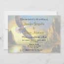 Suche nach weißkopfseeadler Vogel