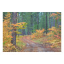 Suche nach büsche poster Schotterstraße