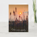 Suche nach cattail Jede person