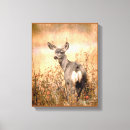 Suche nach junges tier leinwandbilder Jede person