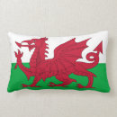 Suche nach wales flagge kissen Drache