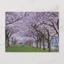 Suche nach willamette Park