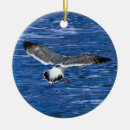Suche nach seemöwen ornamente Himmel