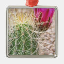 Suche nach phoenix ornamente Usa