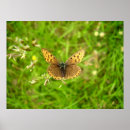 Suche nach rae poster Natur