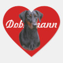 Suche nach dobermann pinscher aufkleber Doberin