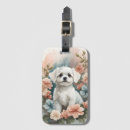 Suche nach malteser accessoires Hund