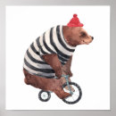 Suche nach bike poster Cycling