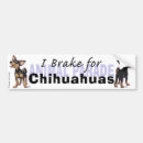 Suche nach chihuahuas autoaufkleber Lustig