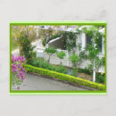 Suche nach grüne reben postkarten Für alle